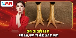 Cách Coi Chân Gà Đá - Cực Hay, Giúp Tài Năng Bay Xa Ngay